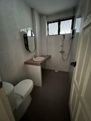 Serangoon Garden Estate (D19), Semi-Detached #519400431